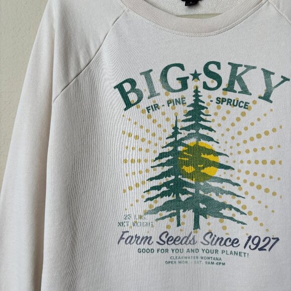 J. Crew Big Sky Graphic Cotton Terry Pullover Sweatshirt - Picture 5 of 13